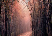 爱游戏:津媒:中国女足留洋需加强对自身认知和规划,将务实摆在首位.